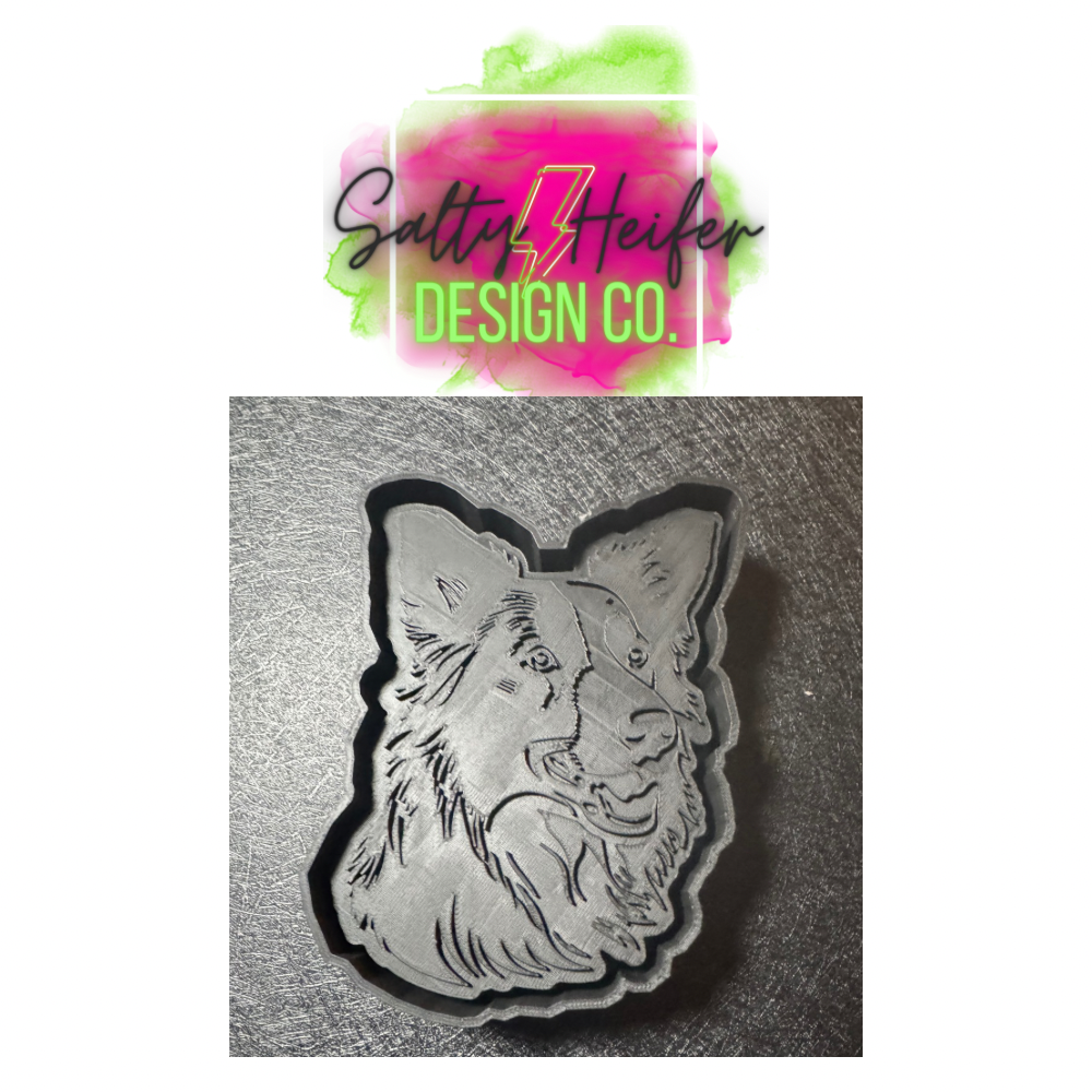 Border collie mold